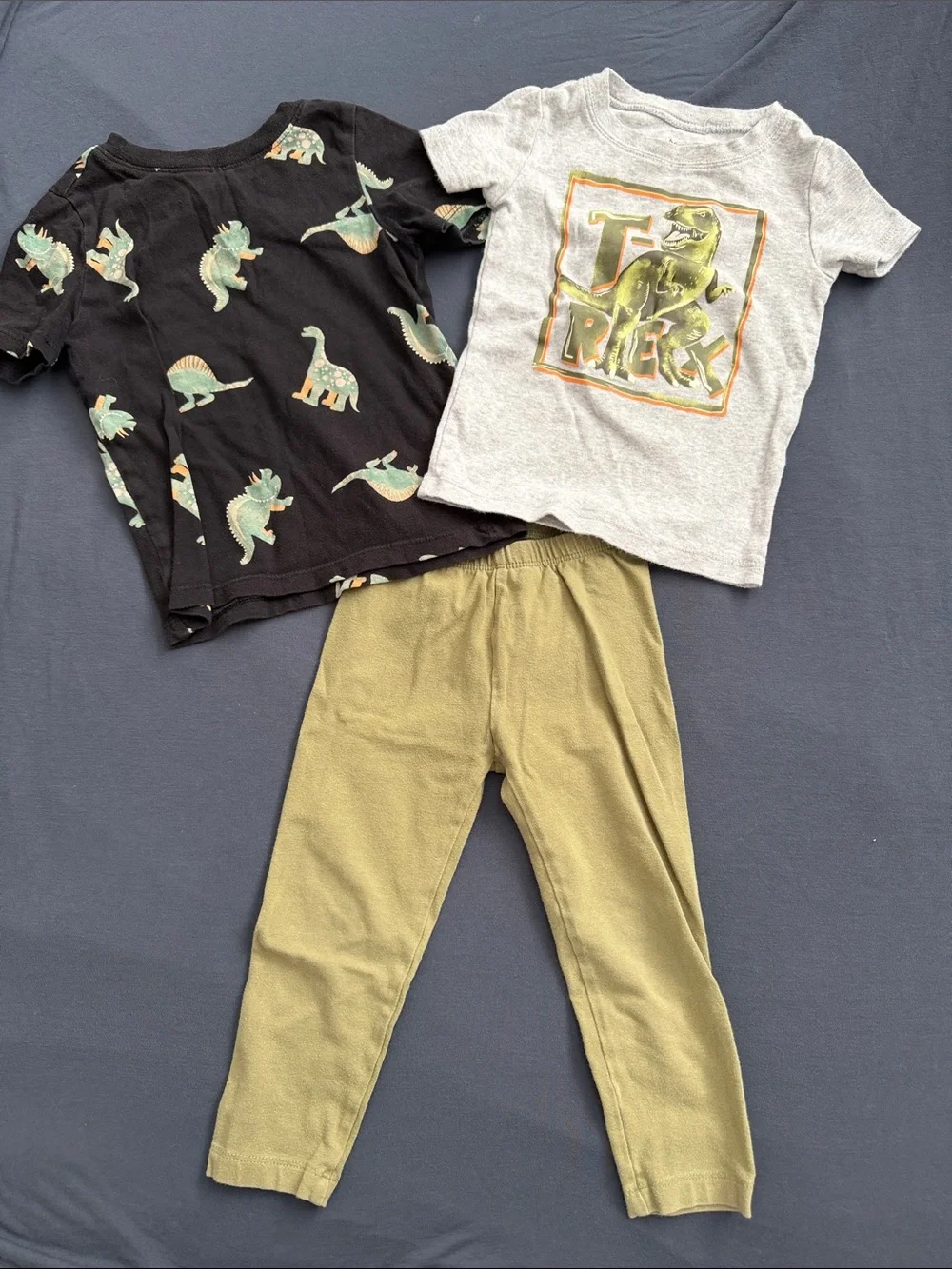 Baby 18-24 months dinosaur outfit